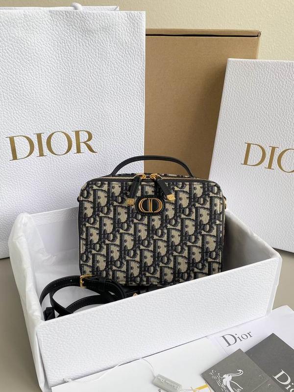 DIOR Handbags 75